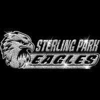 GLT102 SILVER GLITTER Thumbnail